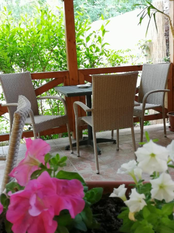 Bed and Breakfast Karpatia Panzio Естерґом Екстер'єр фото